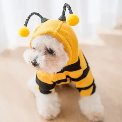 Bee Custome